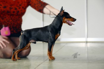 DUVINAL TSIRINUS TSAVIER